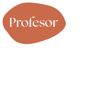 Profesor