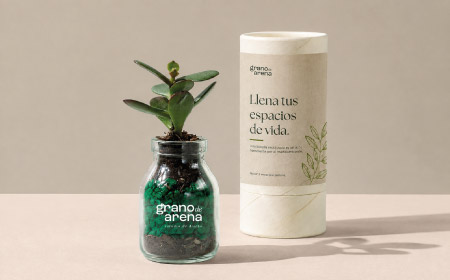 Planta botella