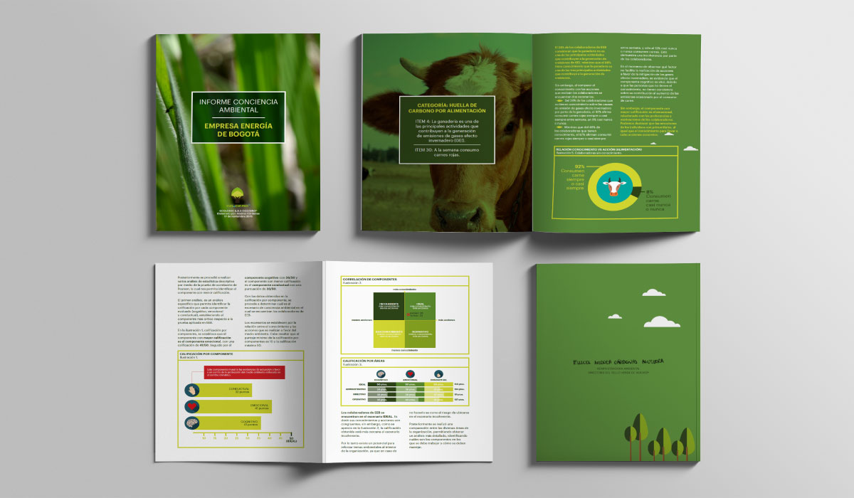 CO2Cero - Infografía para Compensación de huella de carbono y diseño editorial para informes