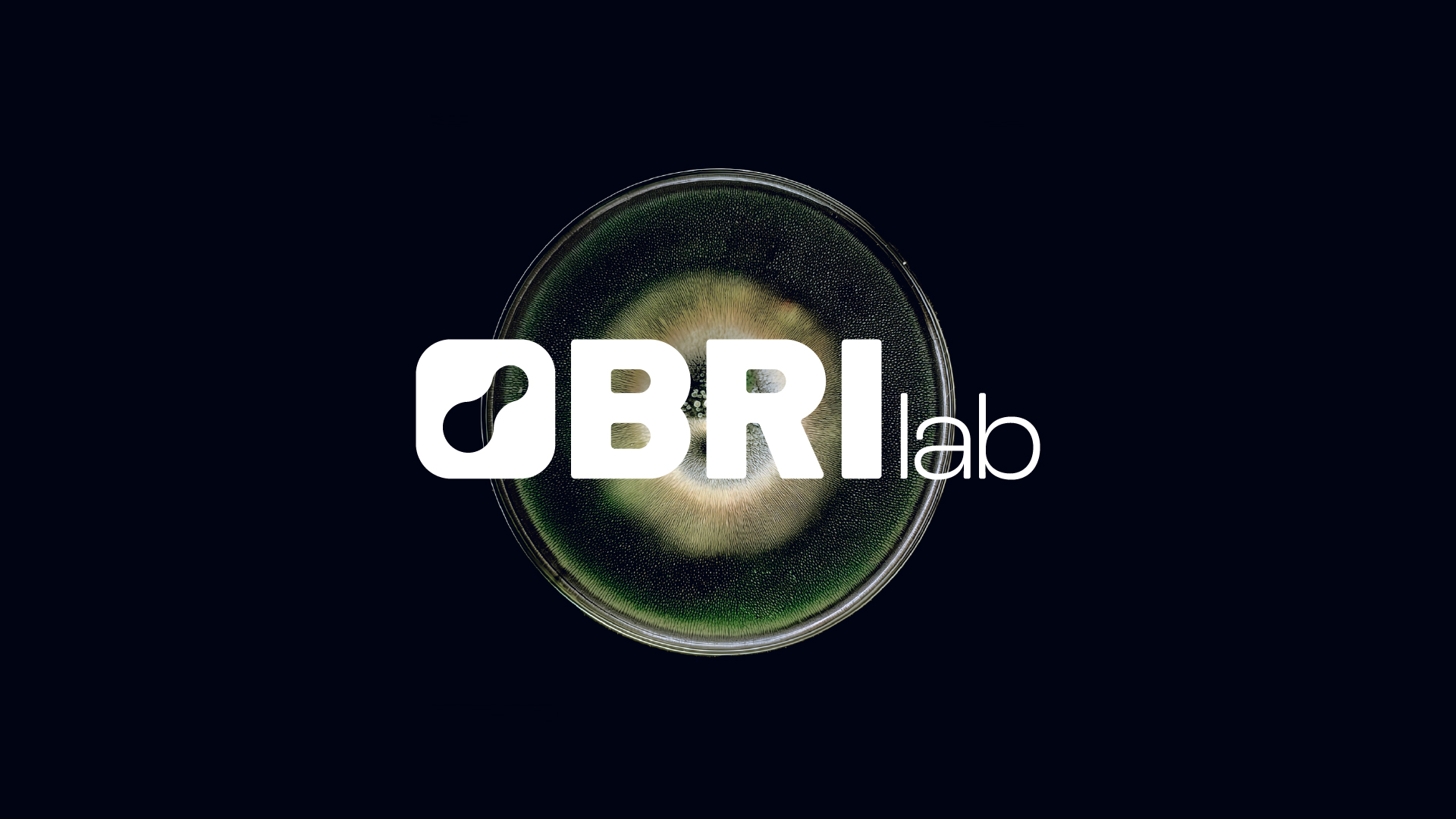 Brilab